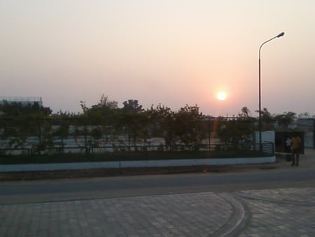 Twilight - tree, lamp, road, sun