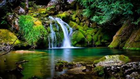 Crystal Spring - water, falls, trees, spring