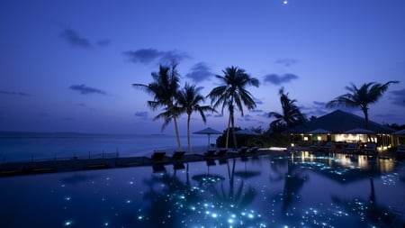 Lake Front Home - water, sky, lake, palm trees