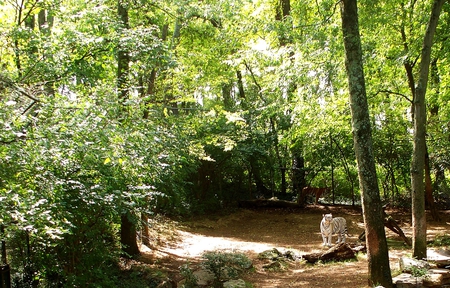 Bengal Tiger - trees, white, green, cats, forest, tigers