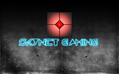 SkyNetGaming - garrys mod, video games, pc, gaming