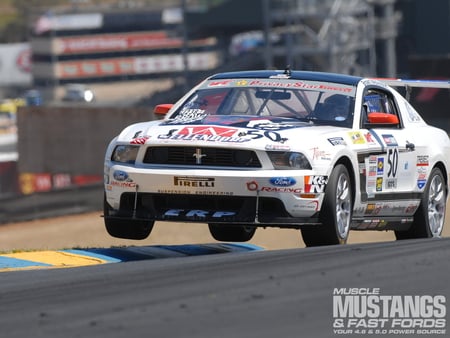 10. Tiger Racing 2011 Boss 302S - 302, wing, mustang, racing