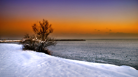 Winter Sunset - sky, lake, winter, sunset, nature, clouds, snow, winter sunset, tree