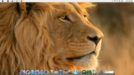 Mac os lion on windows - lion, os, photo, mac