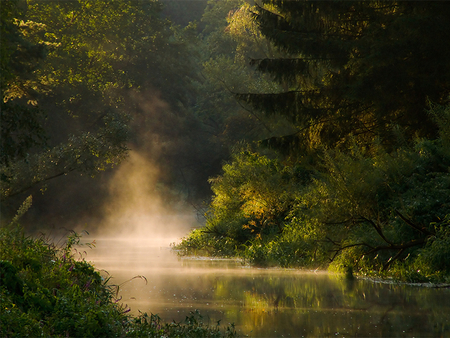 Morning River - river, foggy, sunshine, stream, morning