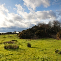 Green Field