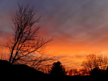 Dusk - nature, sky, sunset, evening