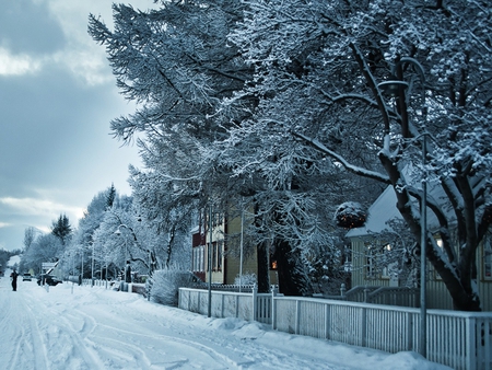 Winter - snow, road, white, cool