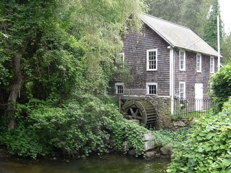 Gray House Watermill - mill, house, trees, water