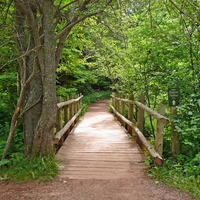 Anne of Green Gables Walk