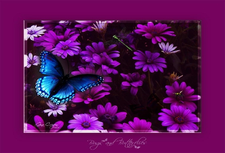 Flowers and bugs. - petal, purple, butterfly, insect, flower, bug, dragonfly