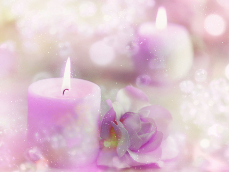 the rose in the candle - rose, candles, lovely, pink