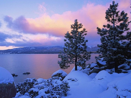 Winter on a Lake - image, lake, winter, nature