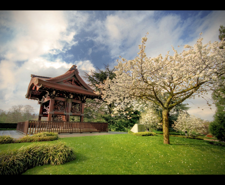 Japanese garden - nature, blossoms, japanese, garden, spring