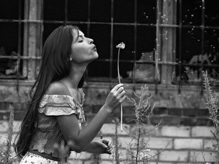 ~Sweet Kisses~ - beautiful, photography, girl, dandelion, sweet, kisses, woman, bw, kiss, black and white