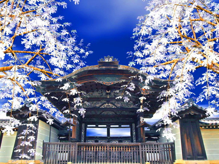 Spring time - branches, china, japan, time, pagoda, spring