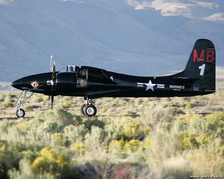 F7F Tigercat - airplane, grumman, tigercat, war, f7f, plane, world, ww2, classic, antique, wwii