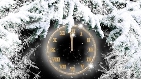 Almost Midnight - ice, trees, boughs, winter, midnight, time, frost, snow, new years, clock, eve