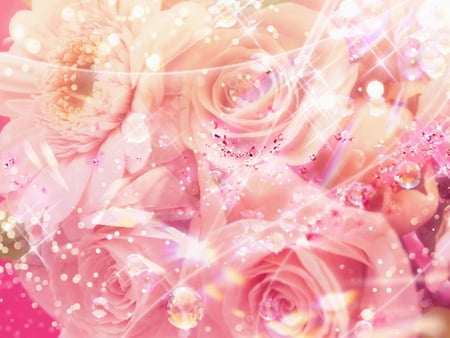 Pink_roses - roses, shinning, lovely, pink