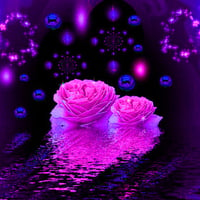 pink rose and bubbles