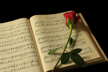 Still life - pretty, elegantly, romantic, book, amazing, great, romance, photo, music notes, music, black background, nice, notes, delicate, red rose, beautiful, photography, beauty, lovely, cool, love, still life, flower, harmony, rose