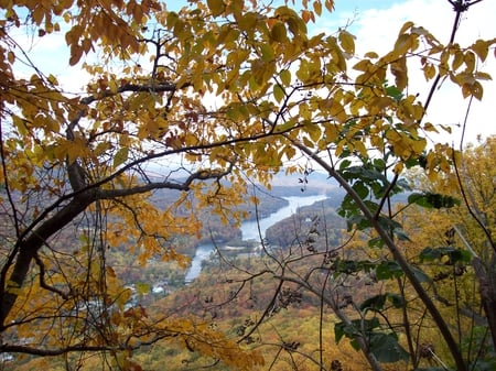 Autumn Leaves - fall, autumn, trees, river