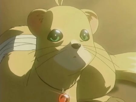 Yuuno Scrya Screenshot - ferret, screenshot, raising heart, anime, yuuno, bandages, magical girl lyrical nanoha, scrya, yuuno scrya, other