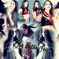 The Bella Twins