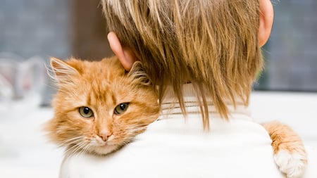 My Best Buddy ! - boy, ginger, cute, buddy, friend, hug, hair, cat