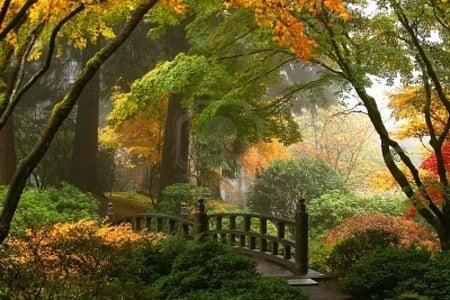 Japanese garden. - path, japan, fog, garden, tree, bridge