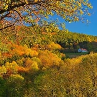 Autumn in Kindelmuehle, Germany.