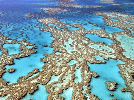 Aerial view Great Barrier Reef - Coral Reefs & Nature Background ...