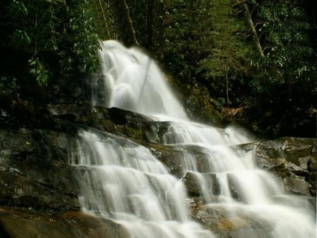 Laurel Falls - water, falls, trees, rocks