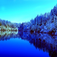 FROSTY FOREST LAKE