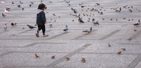 Boy and Pigeon - boy, fun, sparrow, pigeon