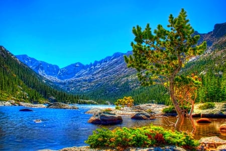 BEAUTY ALONG THE RIVER - trees, woods, river, hdr, mountains, pines, rocks