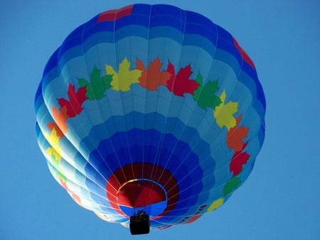 Hot Air Balloon - hot air, picture, cool, balloon