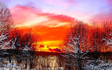 SNOWY SUNSET - clouds, winter, sunset, snow, night, sky