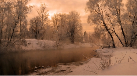 Winter Scenery - trees, winter, nature, scenery, snow