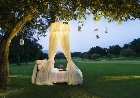 Dreamy - jars, beautiful, balls, photography, curtains, grass, sheets, tree, flowers, bed, white, green, tray, pillow, field, dreamy