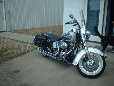 '01 Heritage - hd, hogs, rides, softails