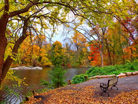 A place to sit - autumn, peaceful, water, place, bench, nature, fall, river, leaves, silence, sit