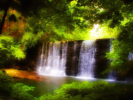 Forest waterfall - water, waterfall, summer, beautiful, wood, stream, forest, sun