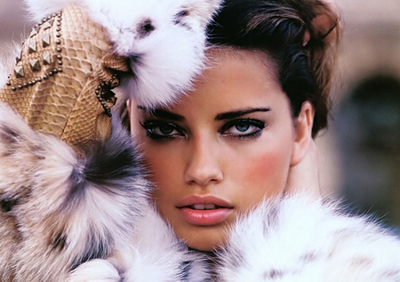 Adriana Lima - woman, adriana lima, sexy, brunette, model