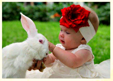 Baby - ribbon, girl, rabbit, baby