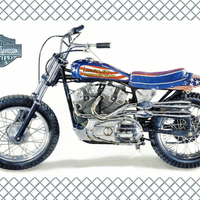 Evel Kinevel's Harley F2