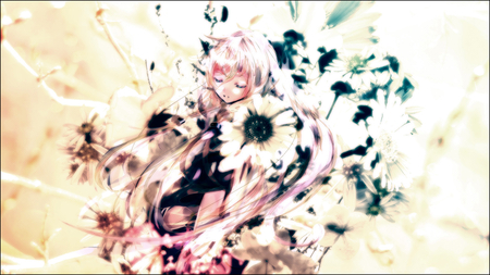 Vocaloid IA - thigh highs, music, thighhighs, singer, anime girl, black, white, virtual, amazing, art, yellow, idol, petals, golden, artistic, leggings, girl, pink hair, song, stunning, closed eyes, cg, 3, vocaloids, program, blue, pink, digital, flowers, diva, ia, vocaloid 3