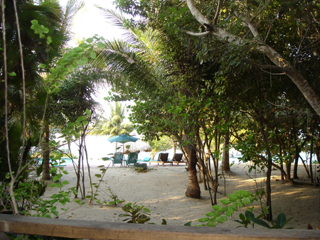 Sandy Beach - water, ocean, sand, trees