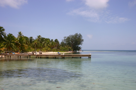 Ocean Pier - water, sky, ocean, trees