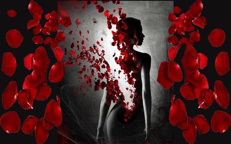 rose petals - woman, petals, red, wp, rose